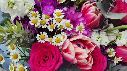 Blossoms Nest