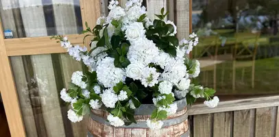 Blossom Hire