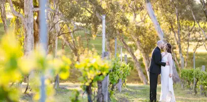 Harcourt Valley Vineyard
