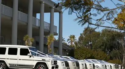 Unique Wedding Cars