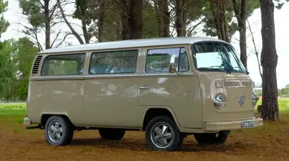 Bindi the Kombi