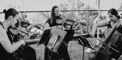 Melaleuca Strings