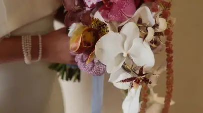 Petal Smith