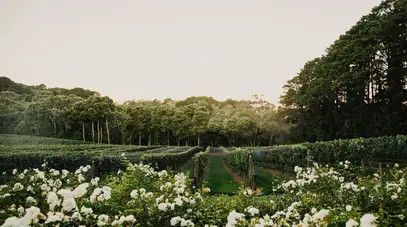 Mantons Creek Estate