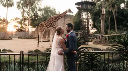 The Melbourne Zoo