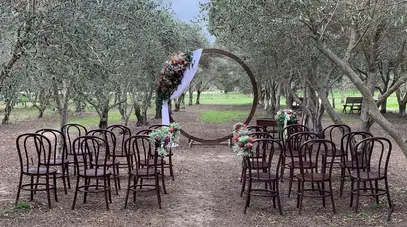 Wedding Magic