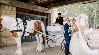 Prestige Horse Carriages