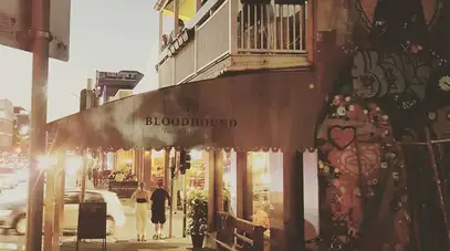 Bloodhound Bar