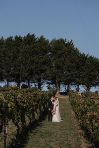 Shaws Road Winery