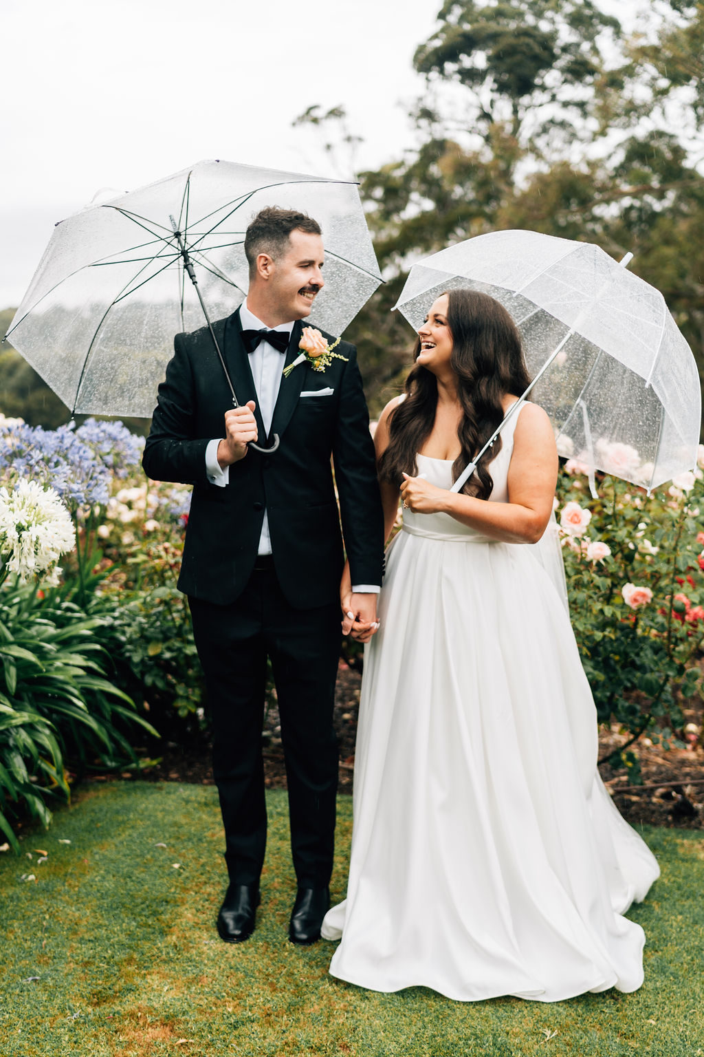 Longview Vineyard-2377285