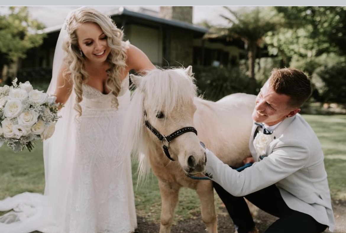 Silvergum Stables-2439752