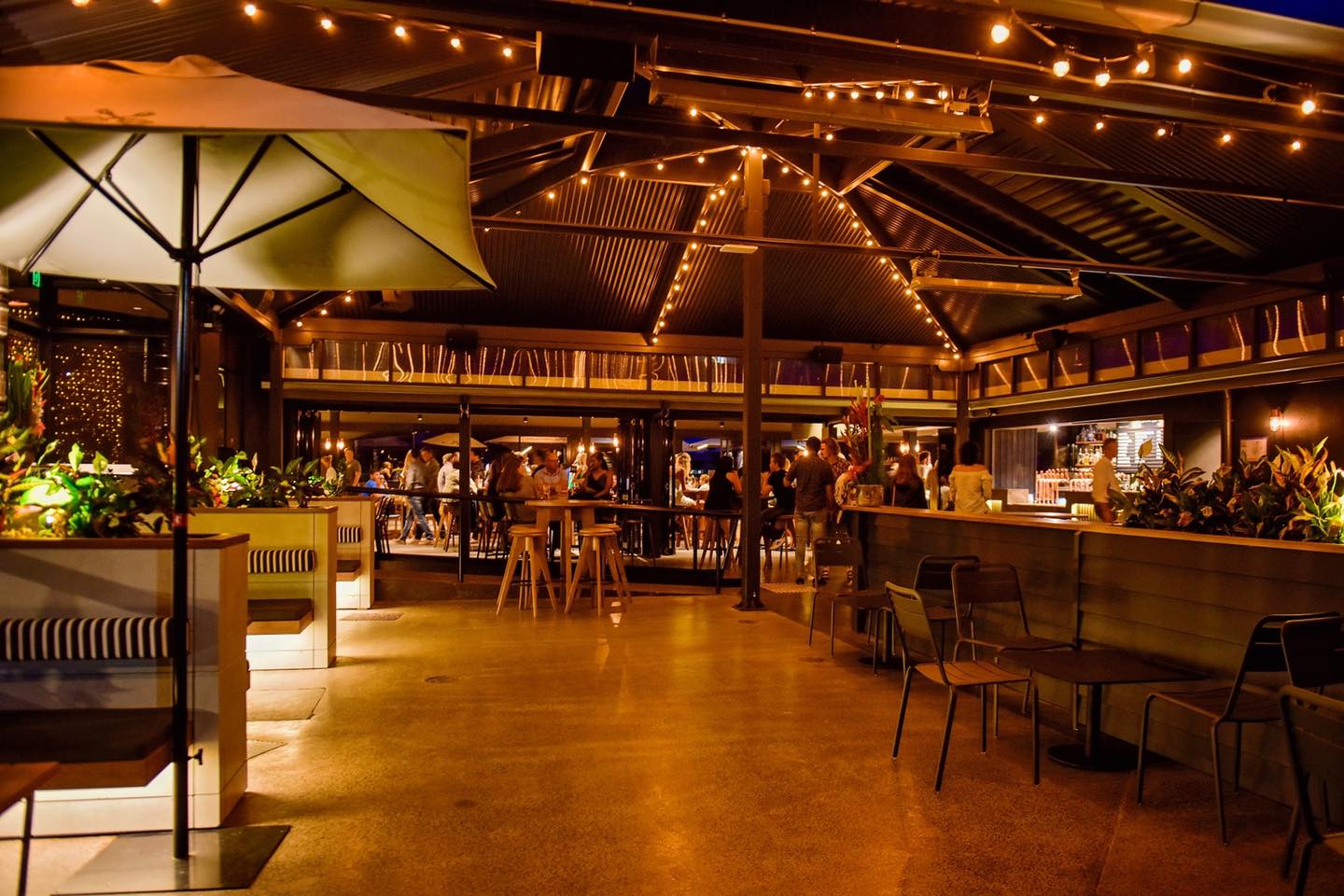 The Savvy Squire-2257832