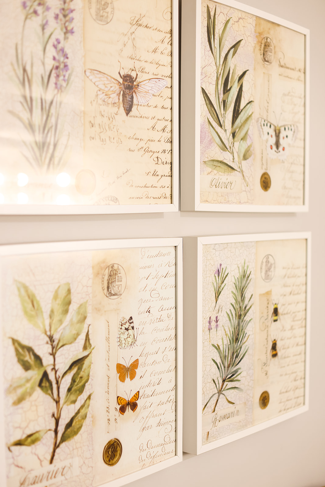 Nathania Springs Receptions-2220734