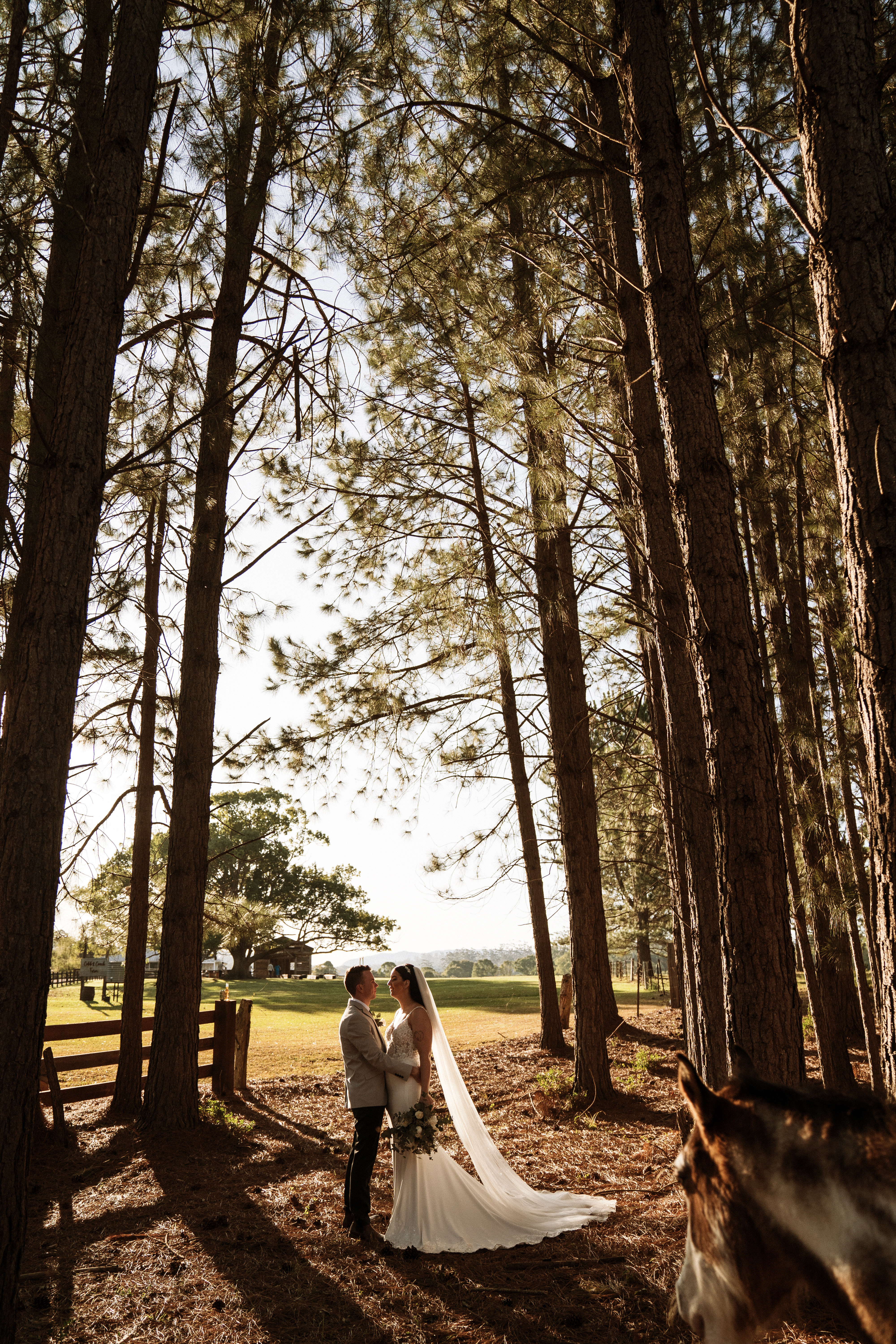 Cobb and Coach Farm-2431562