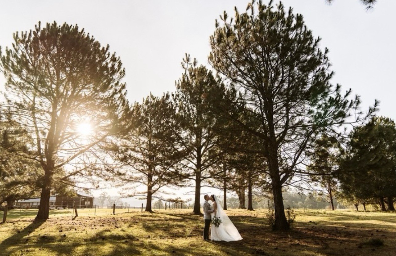 Cobb and Coach Farm-2431557