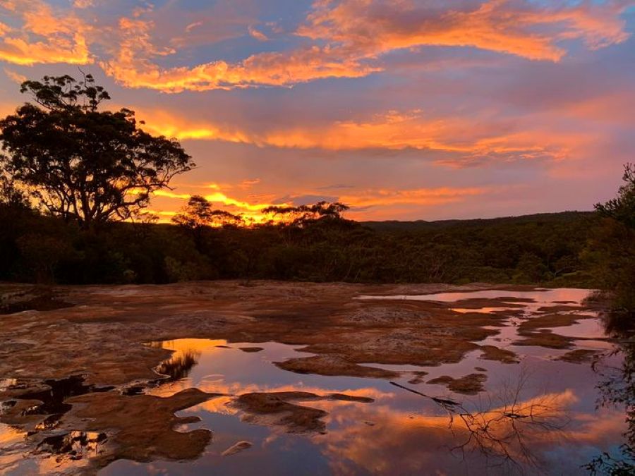 Events At Kariong-2435356