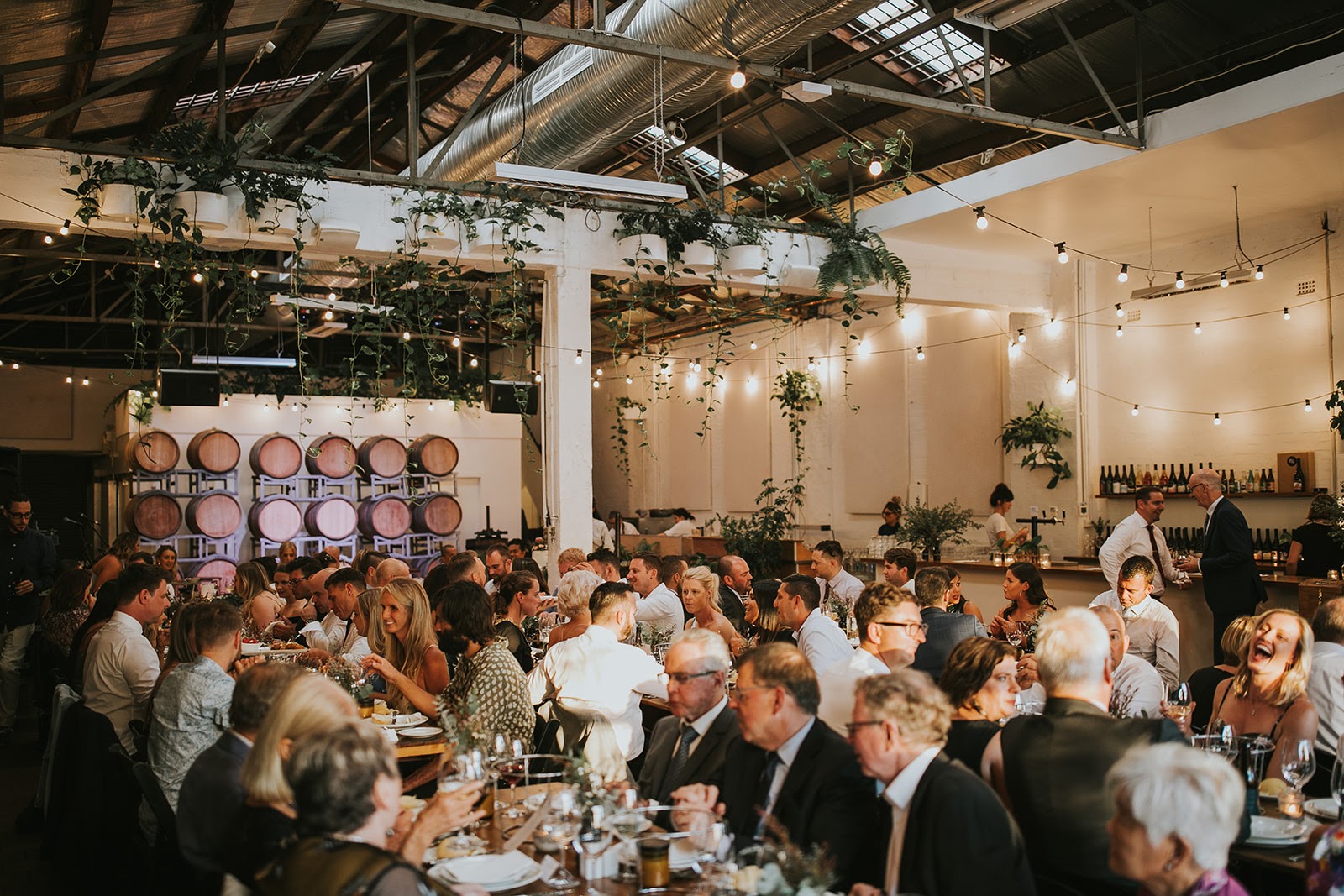 Yering Farm Wines-2502511