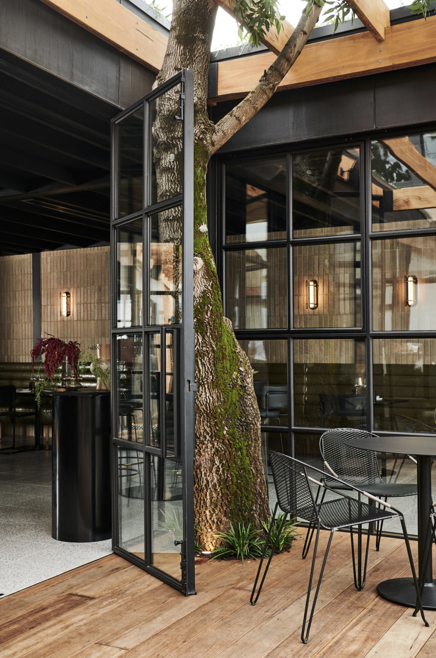 The Arborist-2438279