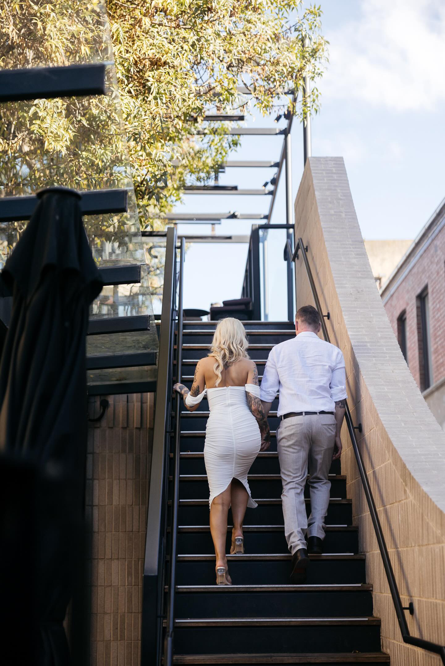 The Arborist-2438271