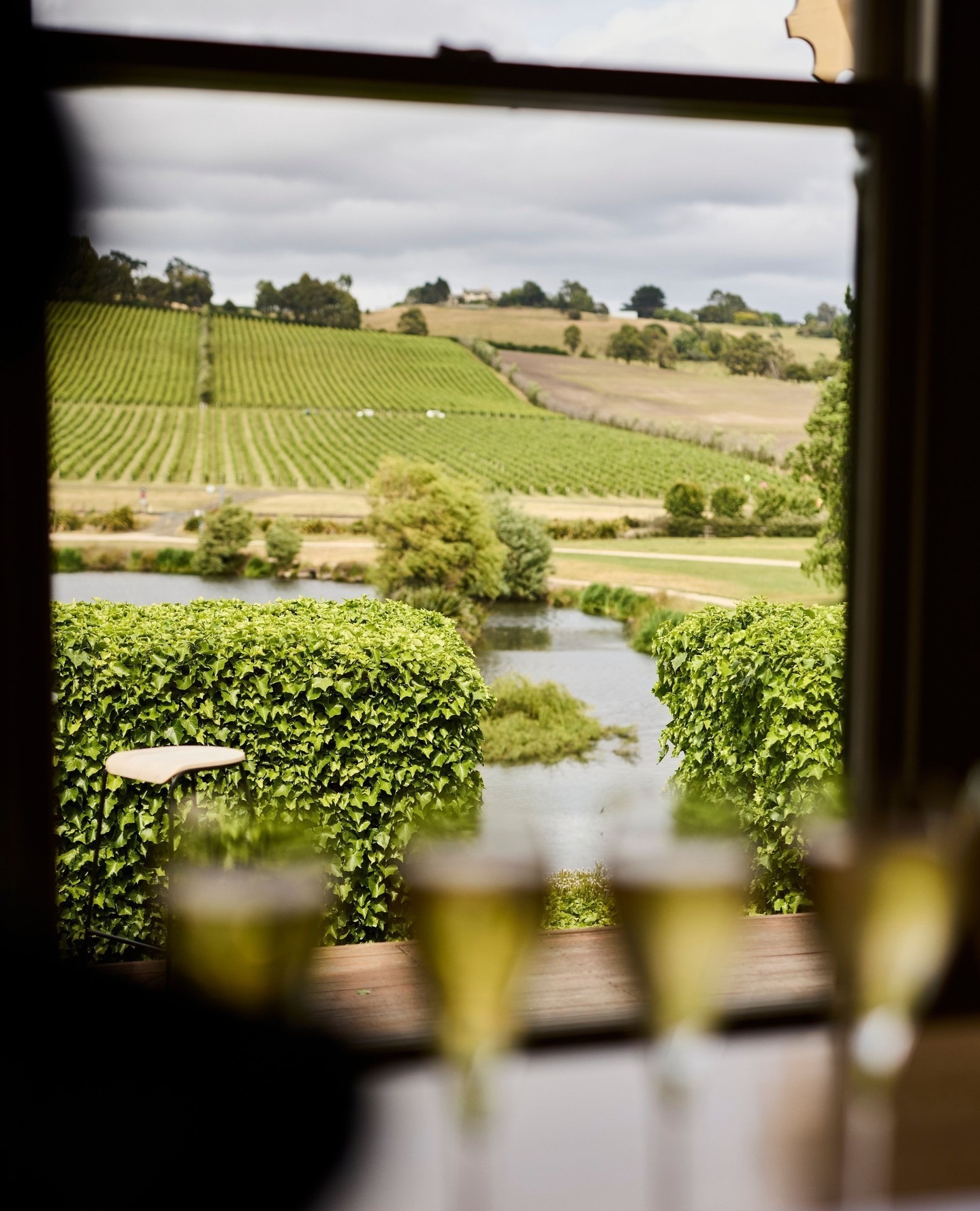 Josef Chromy Wines-2513088