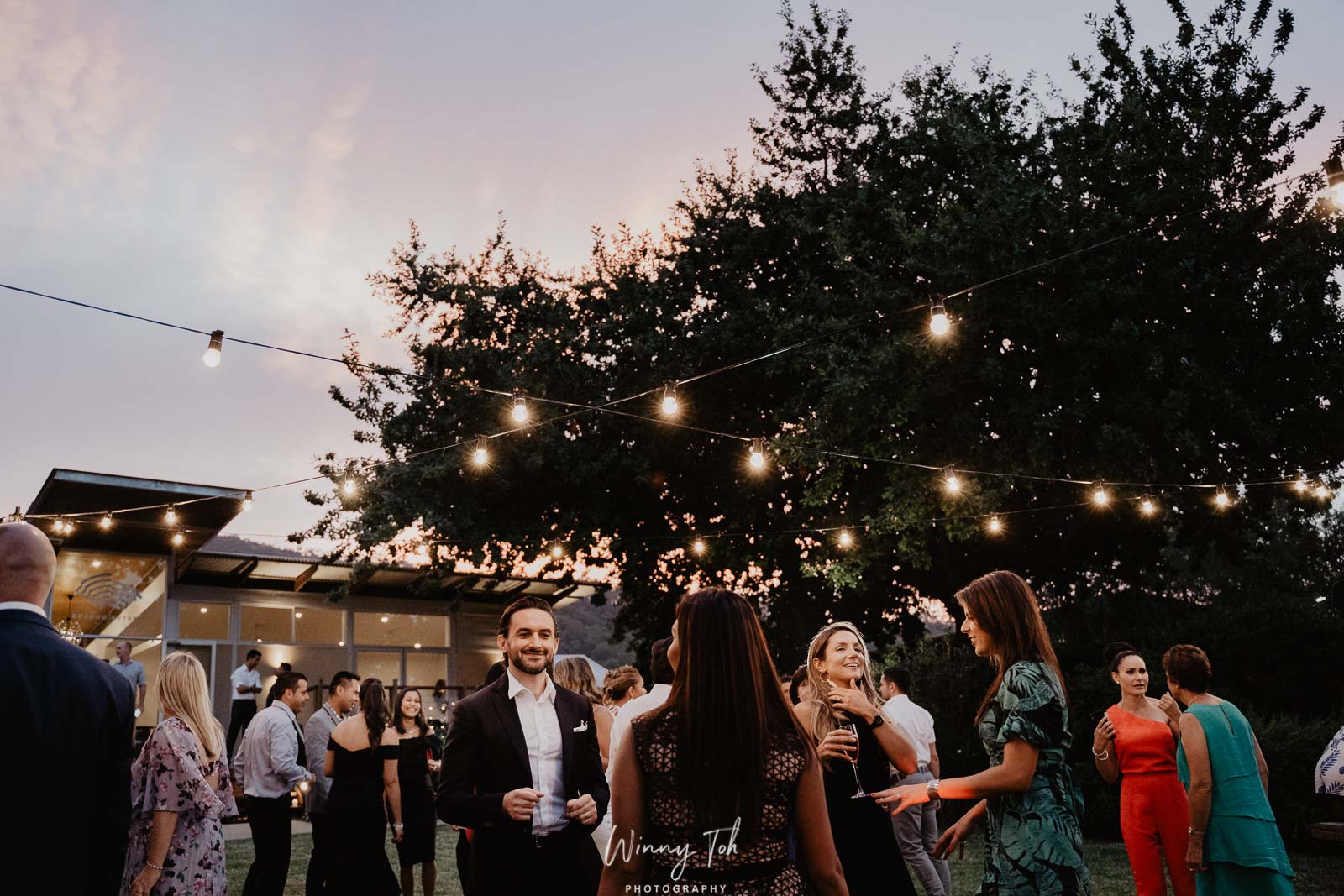 Yering Farm Wines-2502489