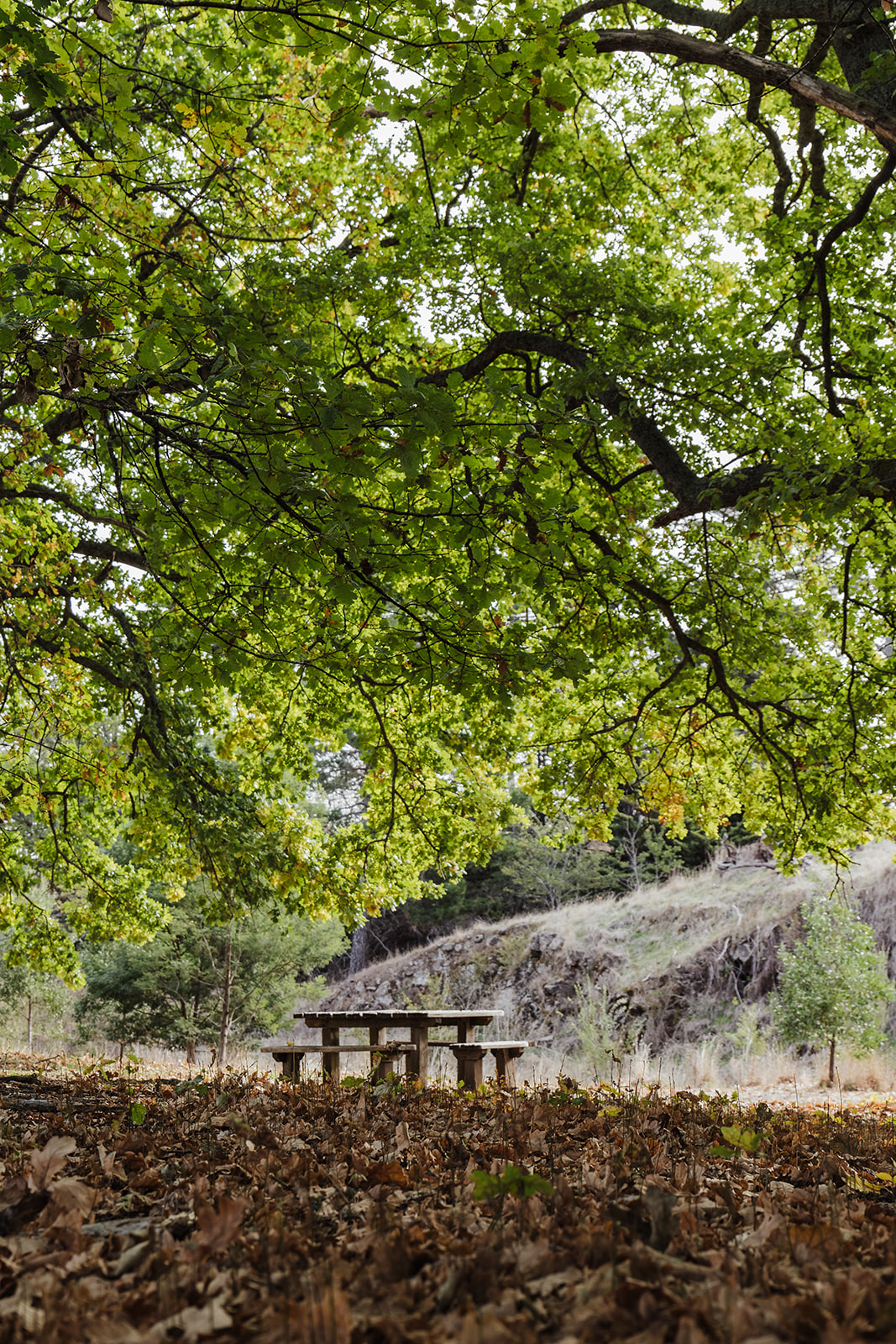 The Millhouse - Exclusive Historic House-2478454