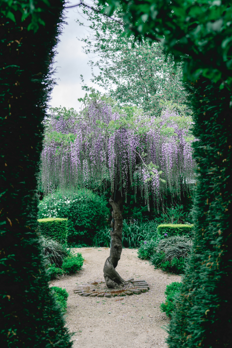 Breathe Glenrock Gardens-2512513