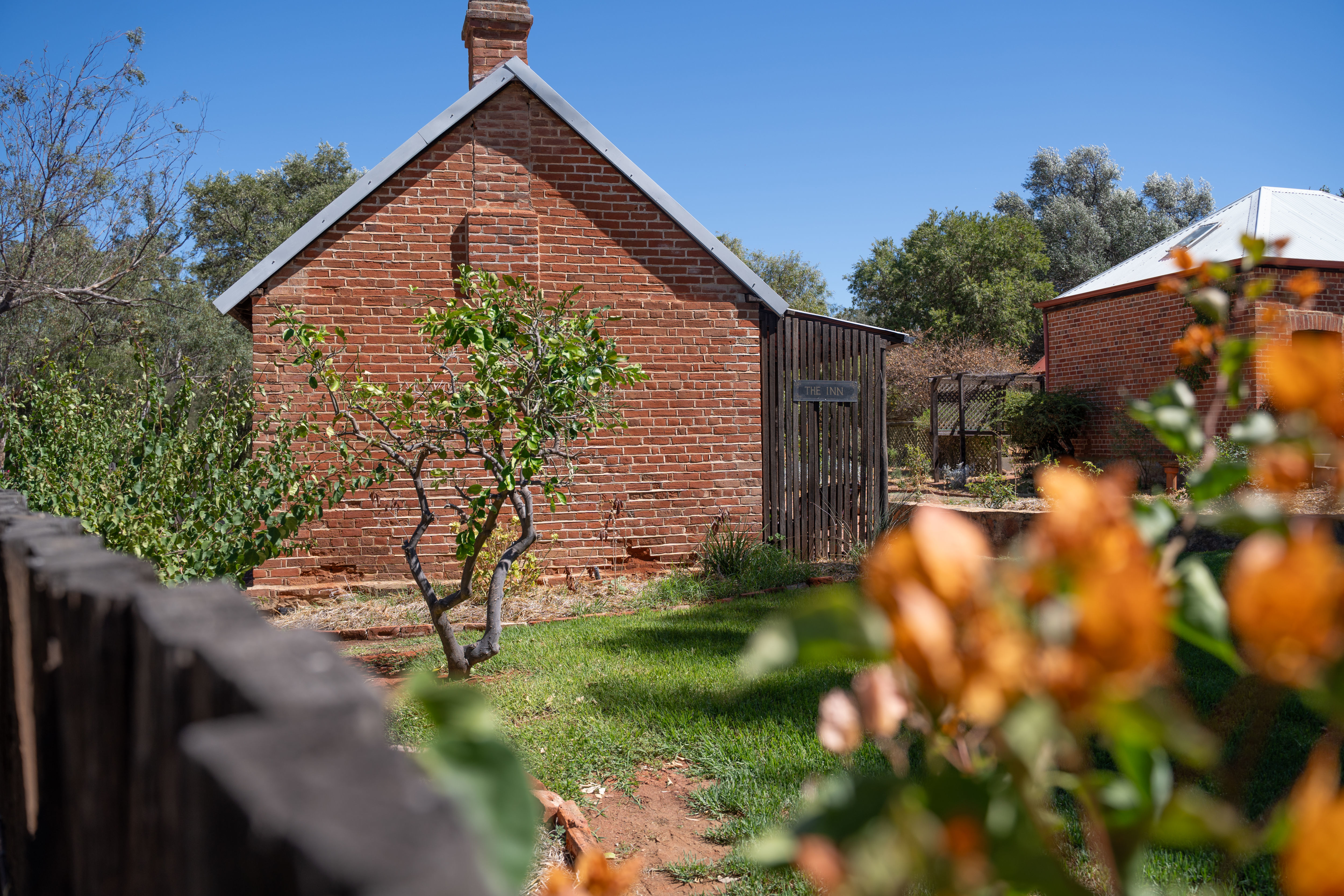 Katrine Steading-2451131