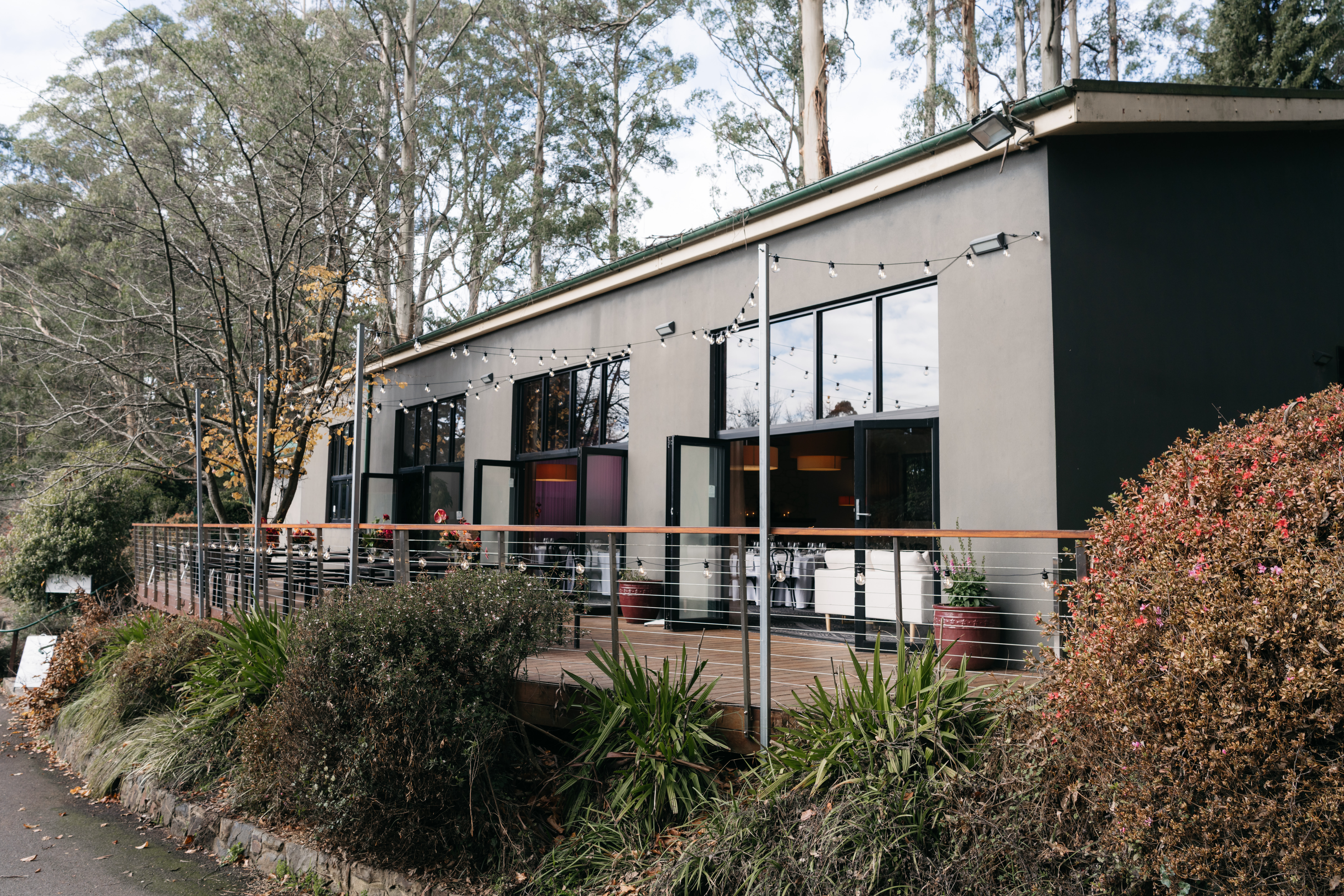 Mist @ Olinda-2465718