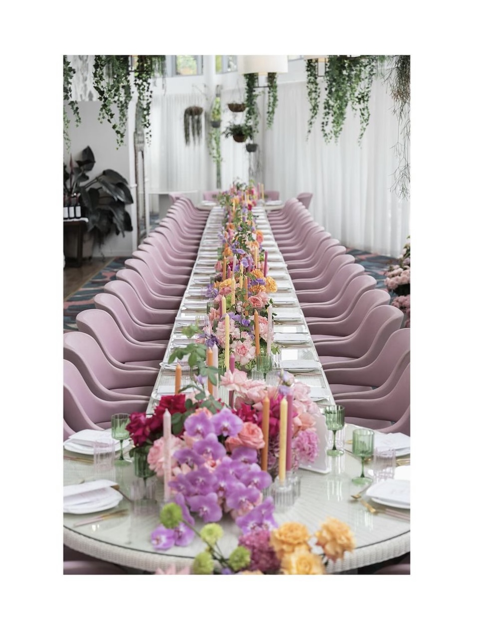 The Botanica Vaucluse-2455909