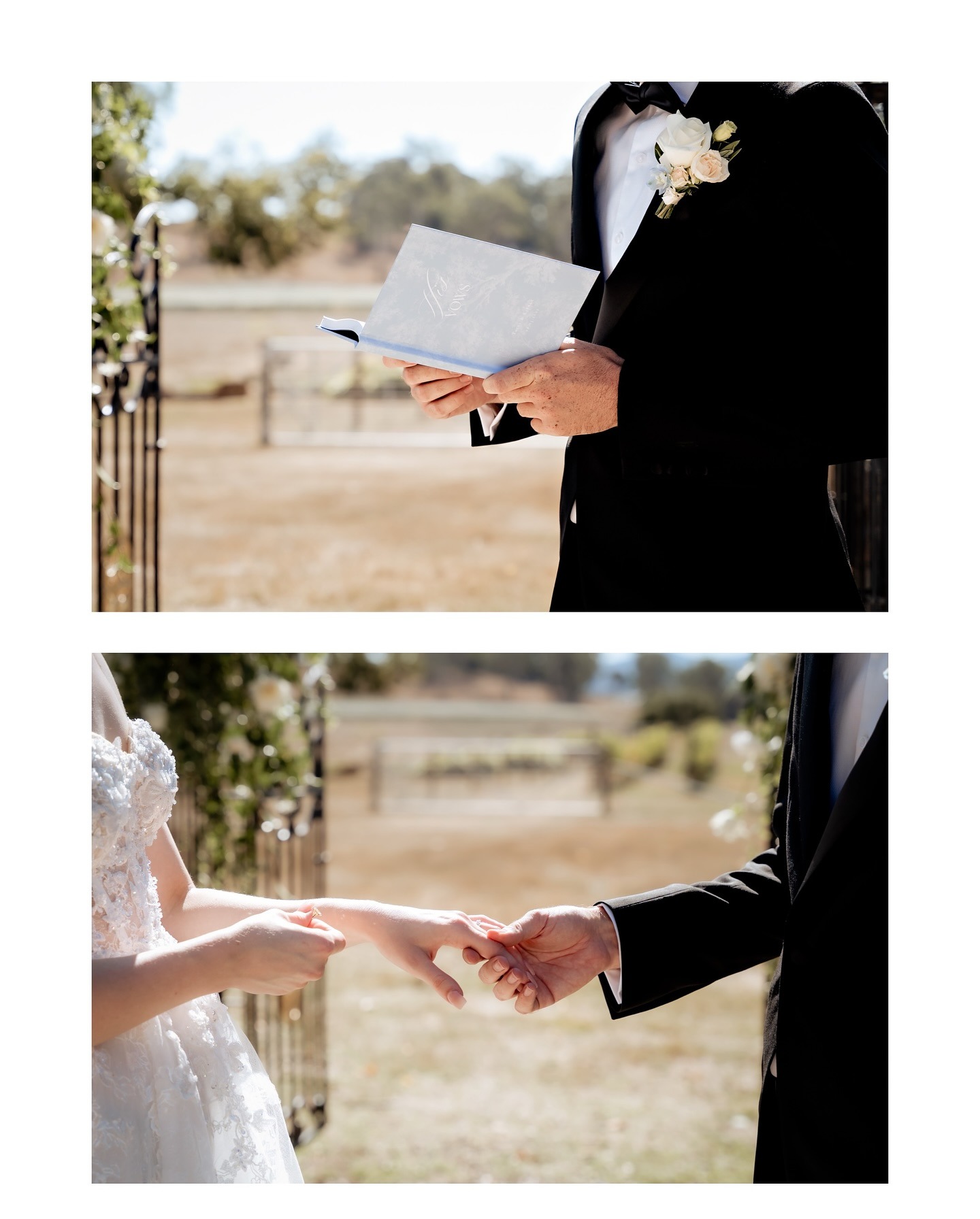 Pointe Rapide Estate-2479165