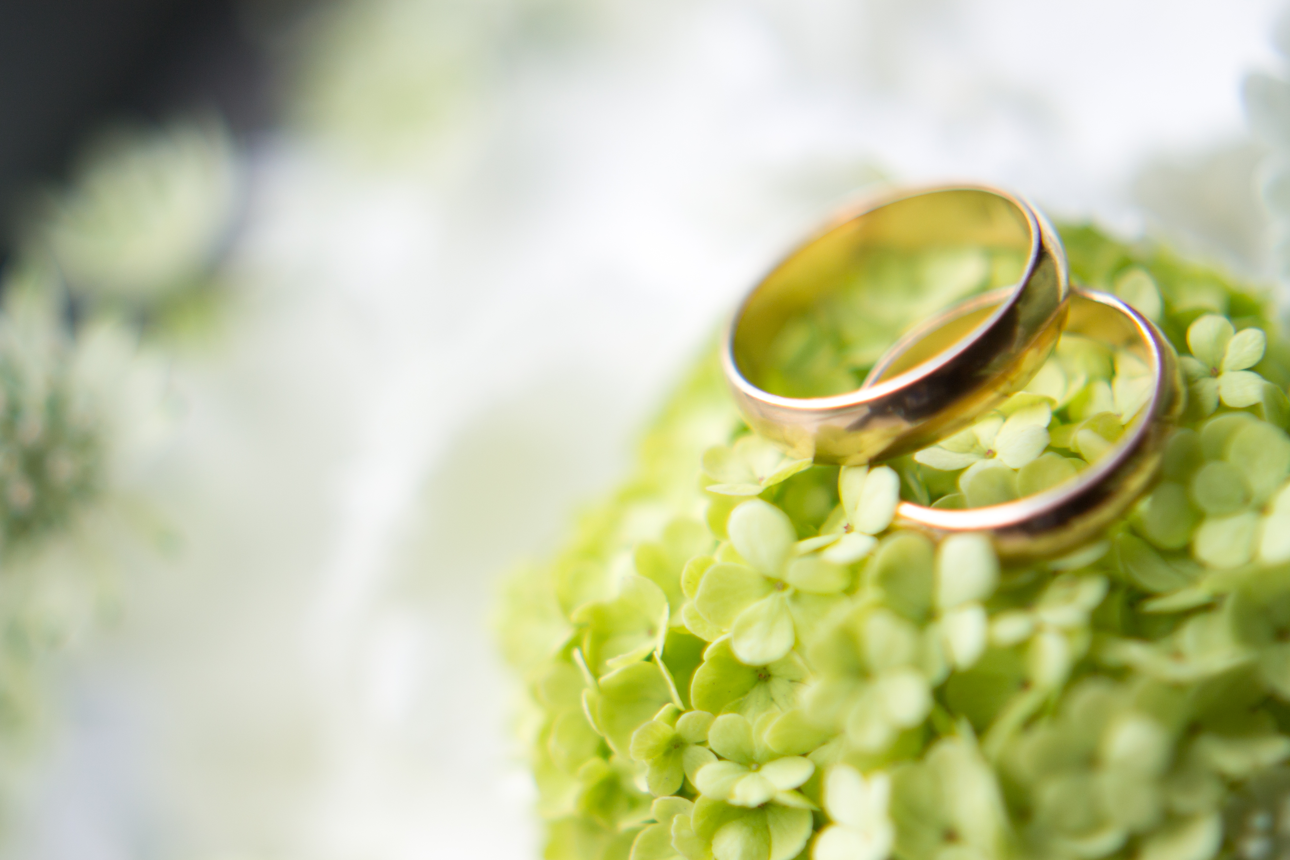 Waukivory Estate-2319634