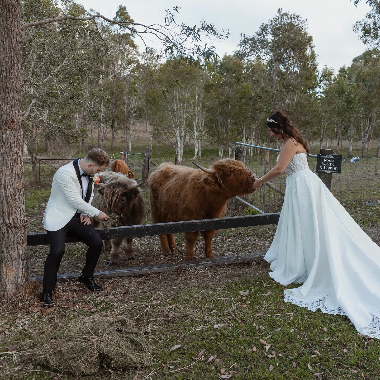 Delaneys Estate-2501509