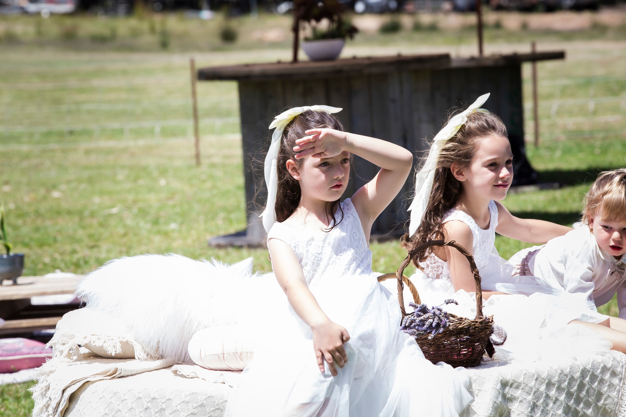 Orange Grove Farm Weddings-2487413