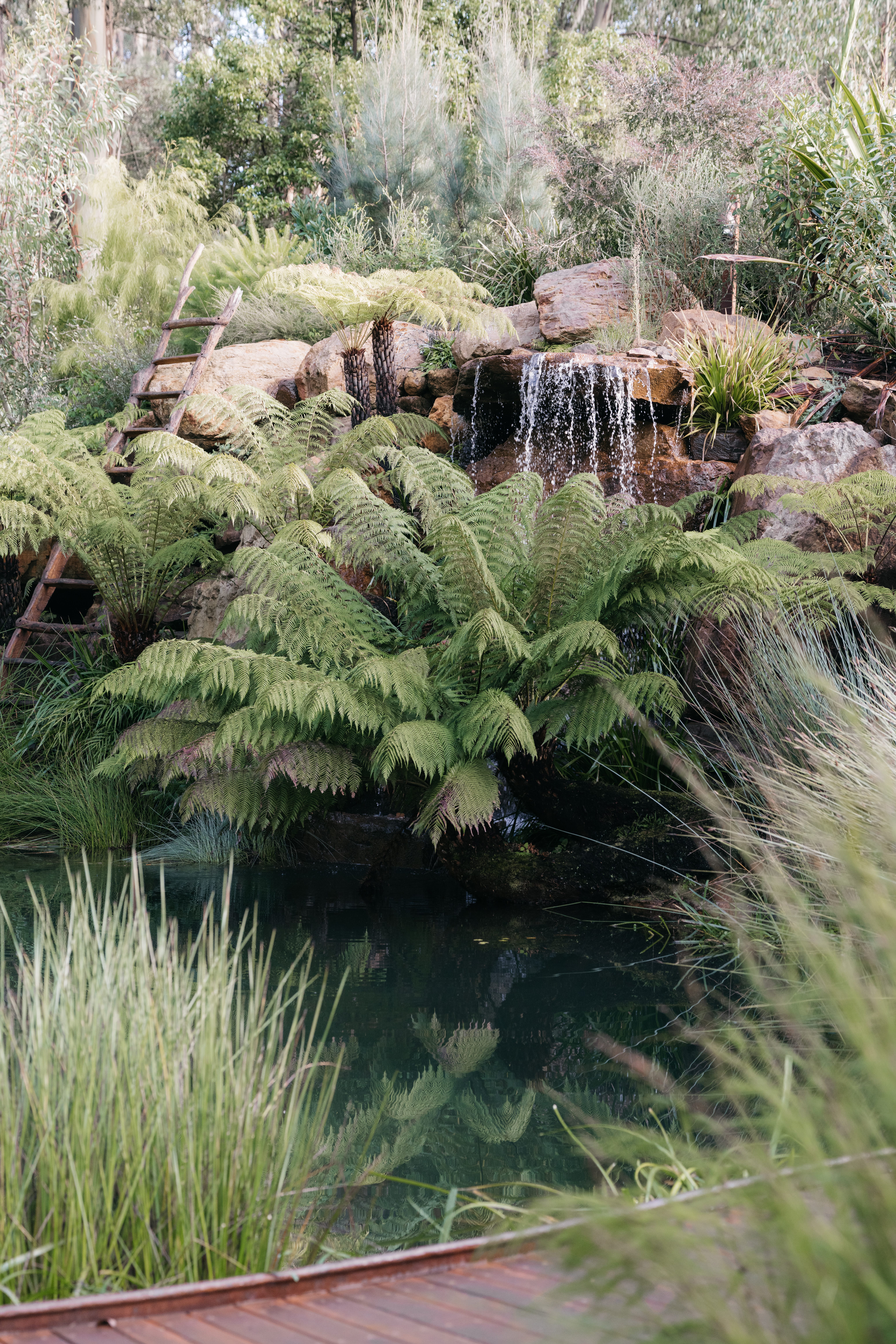 Mist @ Olinda-2465702