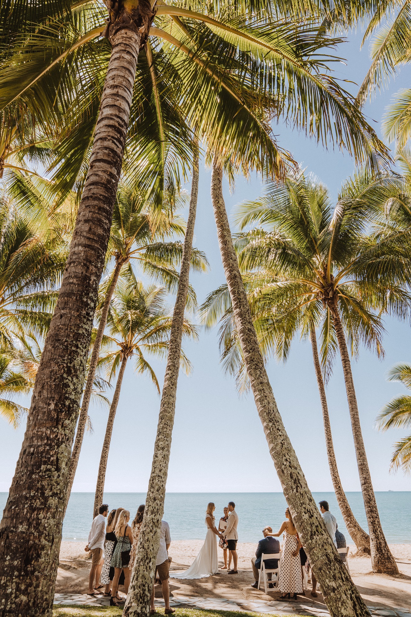 Alamanda Palm Cove by South Pacific Bridal-2145745