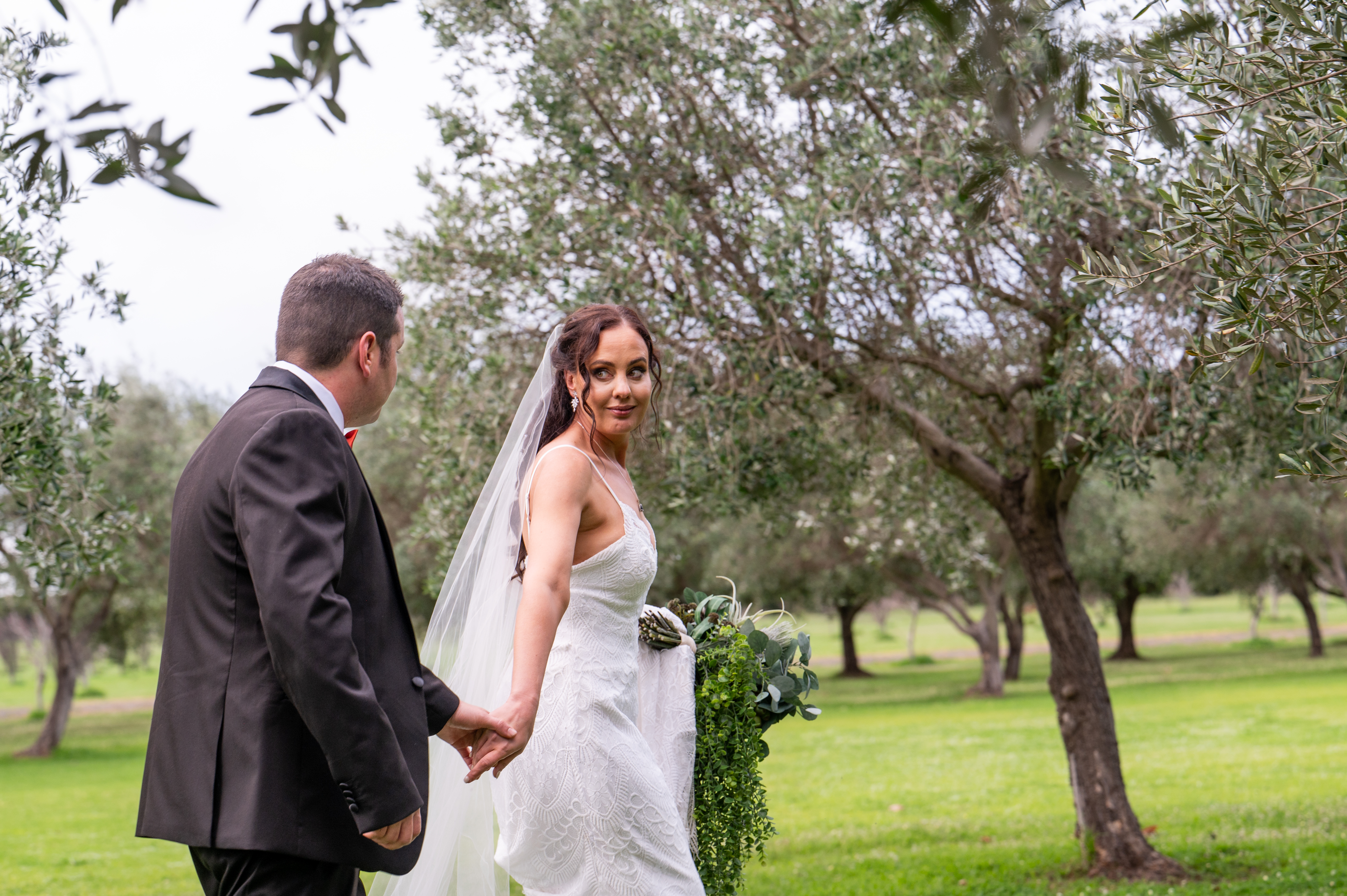 Harvey Springs Estate-2397197