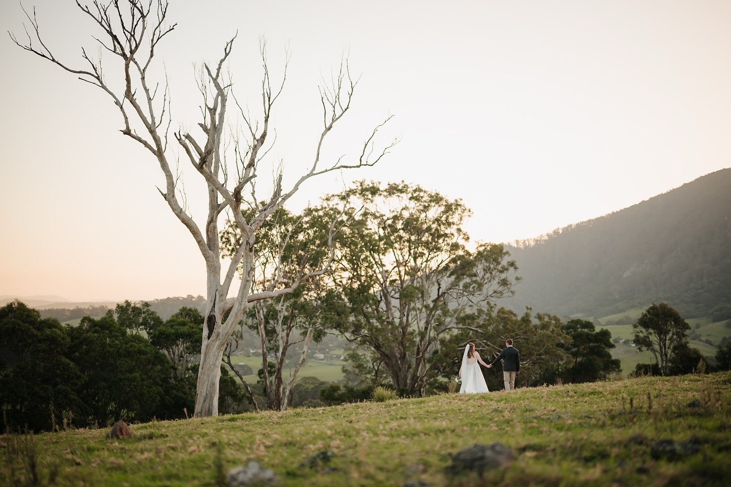 Fig Tree Park Weddings-2455323