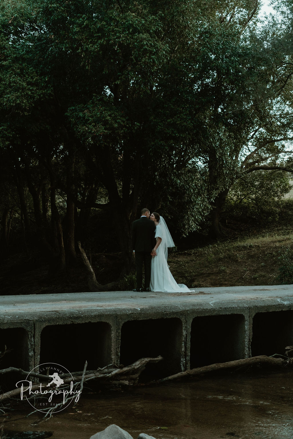 Riley's View-2466338