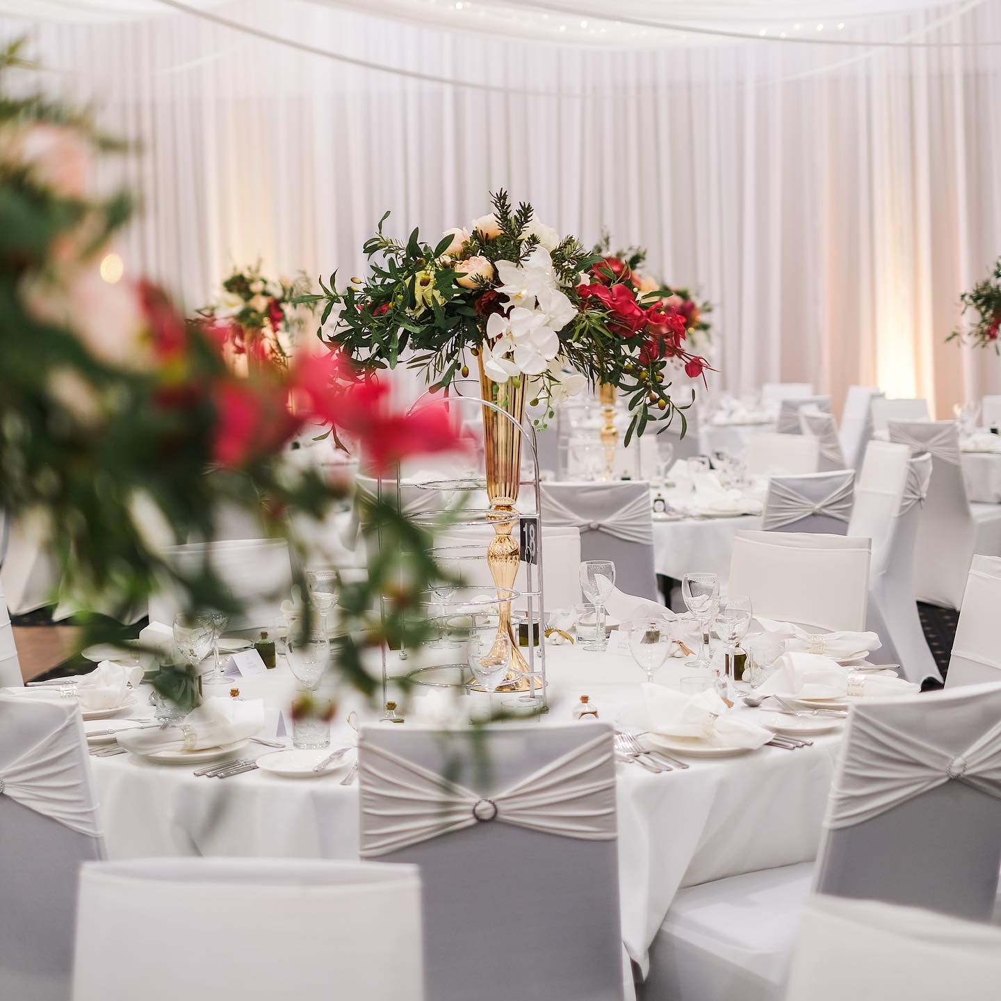 Hellenic Club of Canberra-2148116