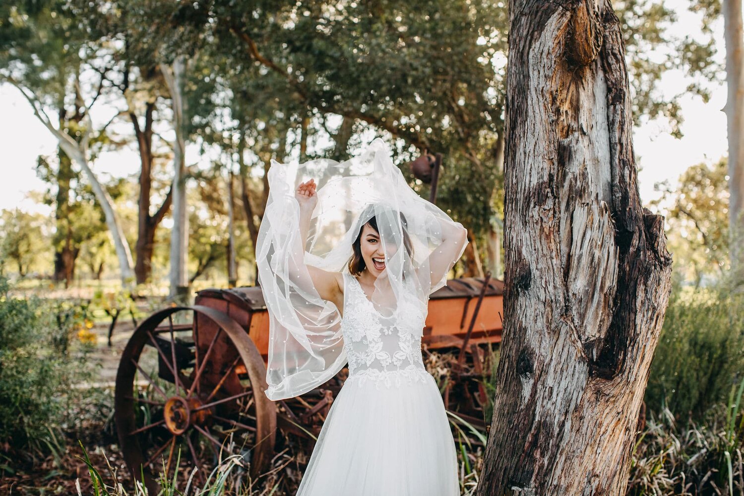 Bailey Brewing Co.-2191826