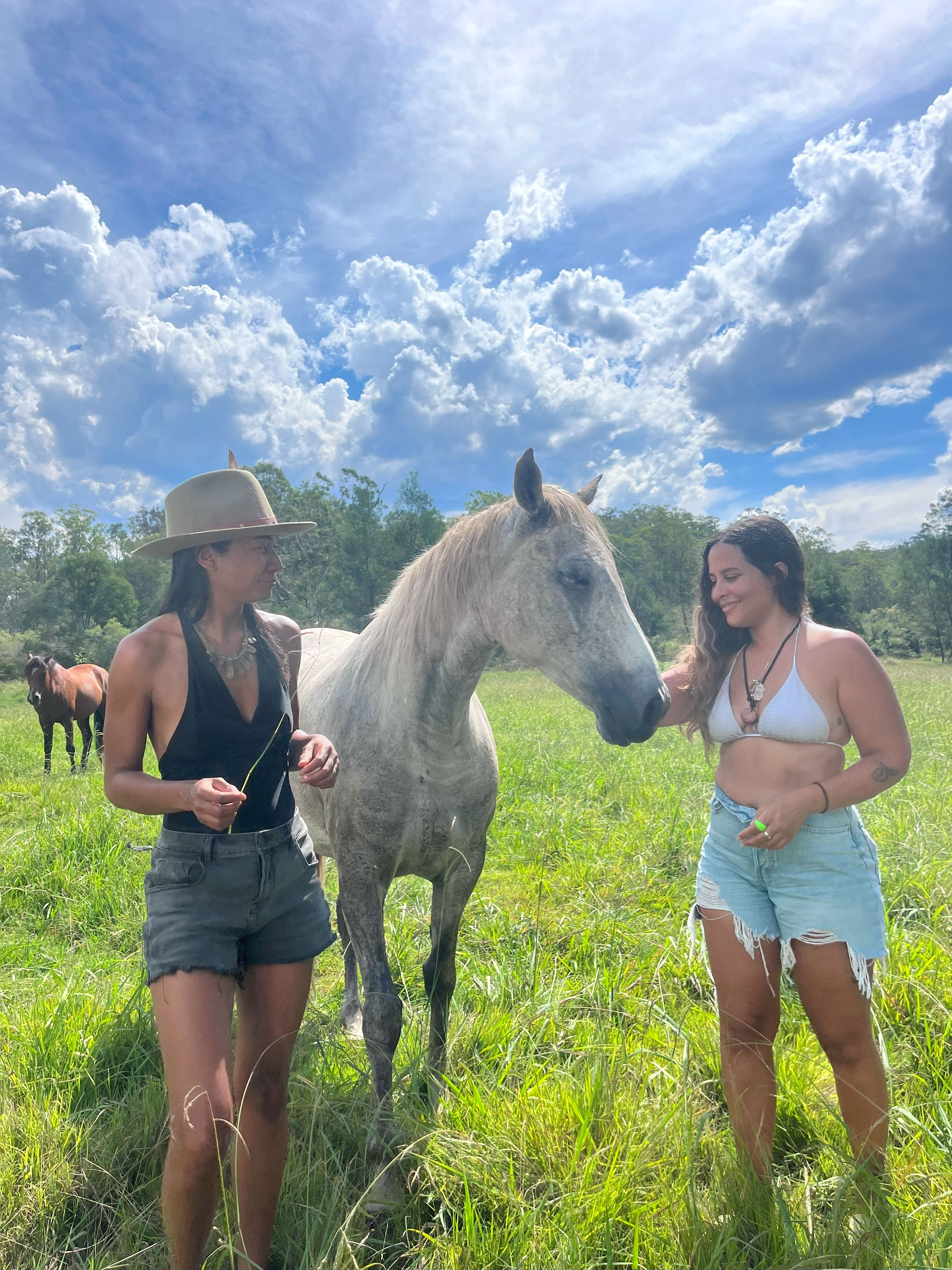 Kurrajong Trails and Cottages-2457404