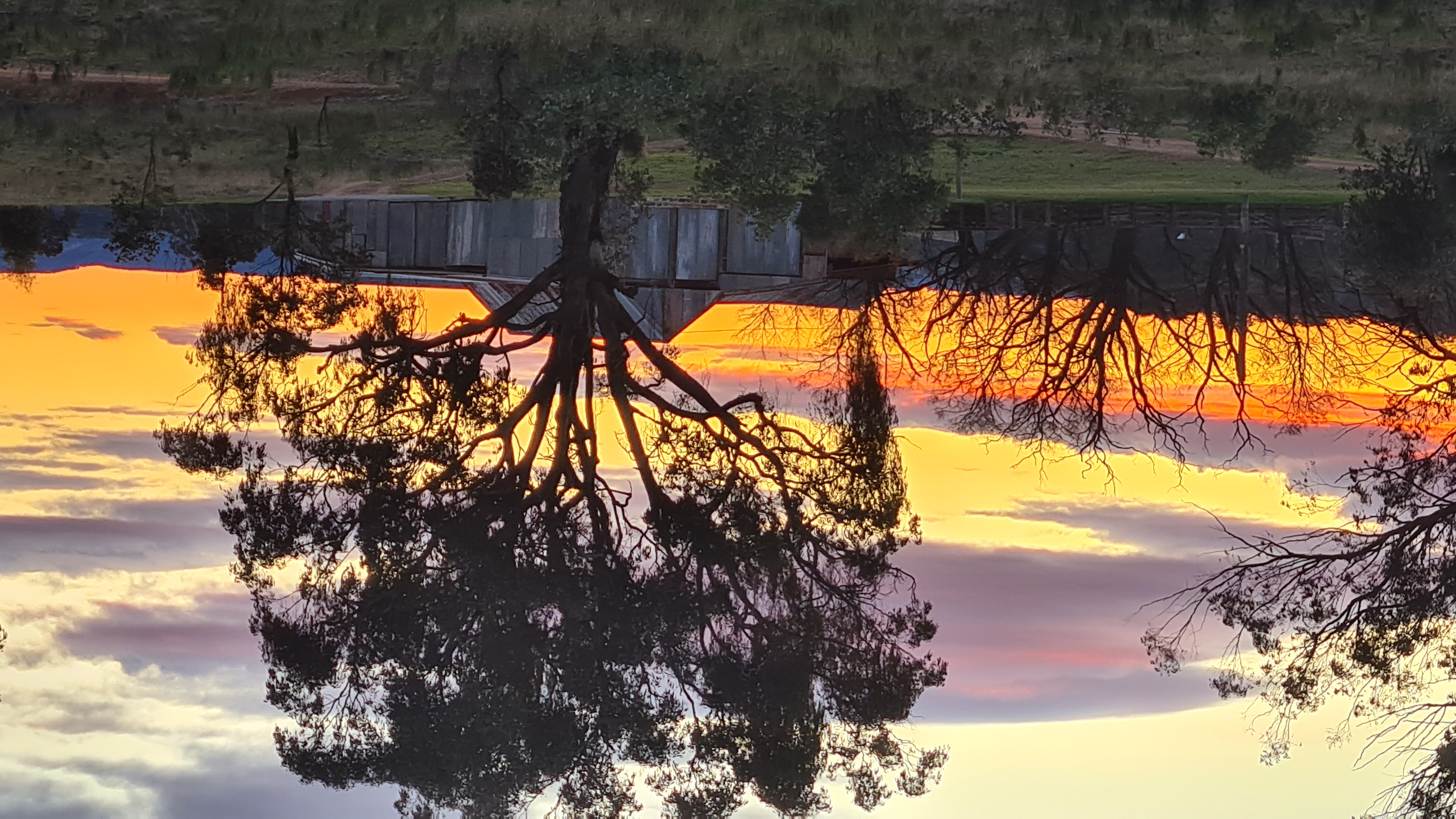 Tongbong Woolshed-2410435