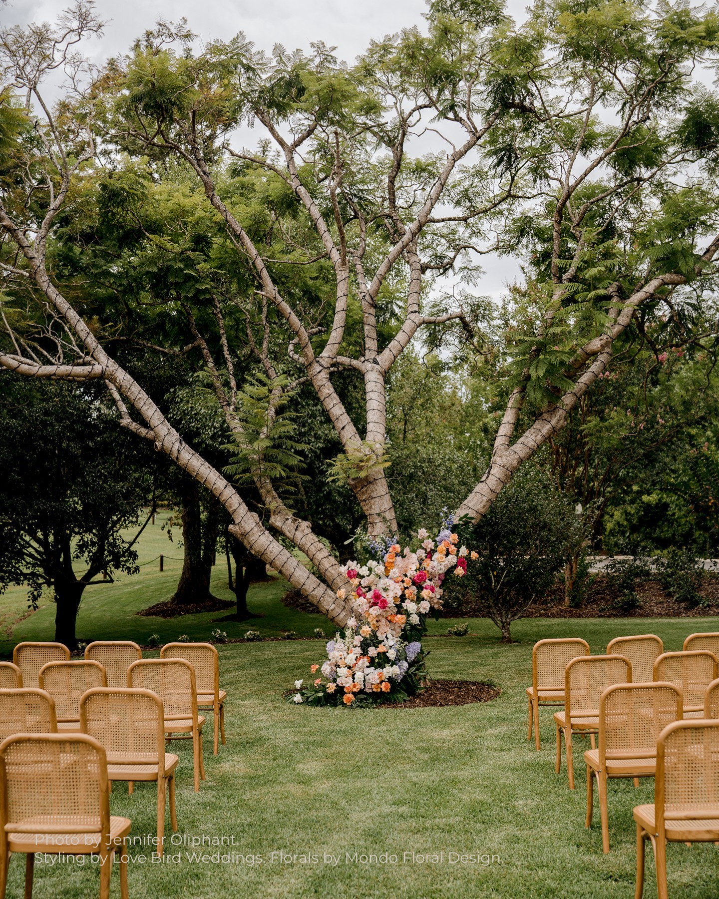 Spicers Clovelly Estate-2286688