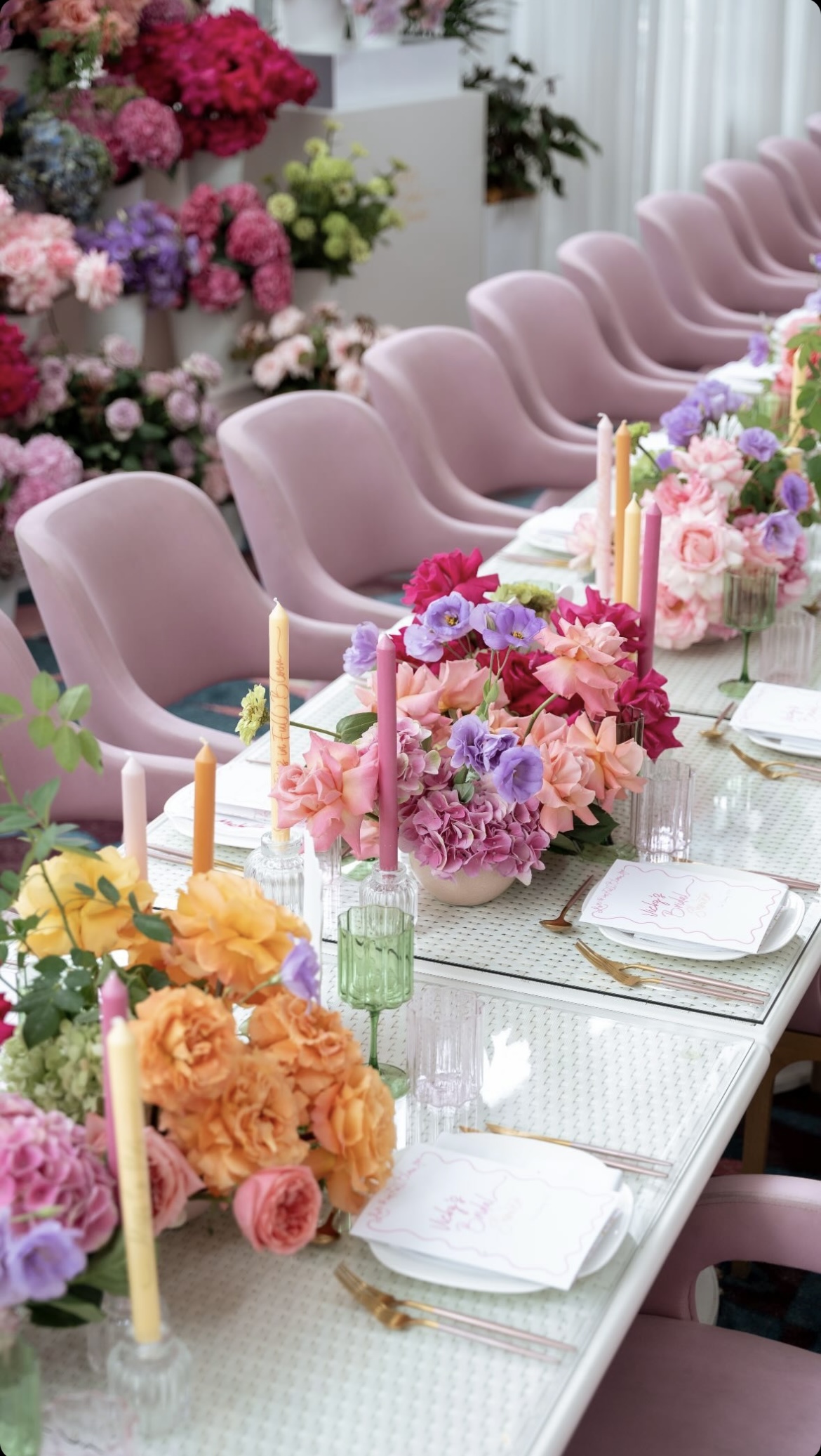 The Botanica Vaucluse-2455911