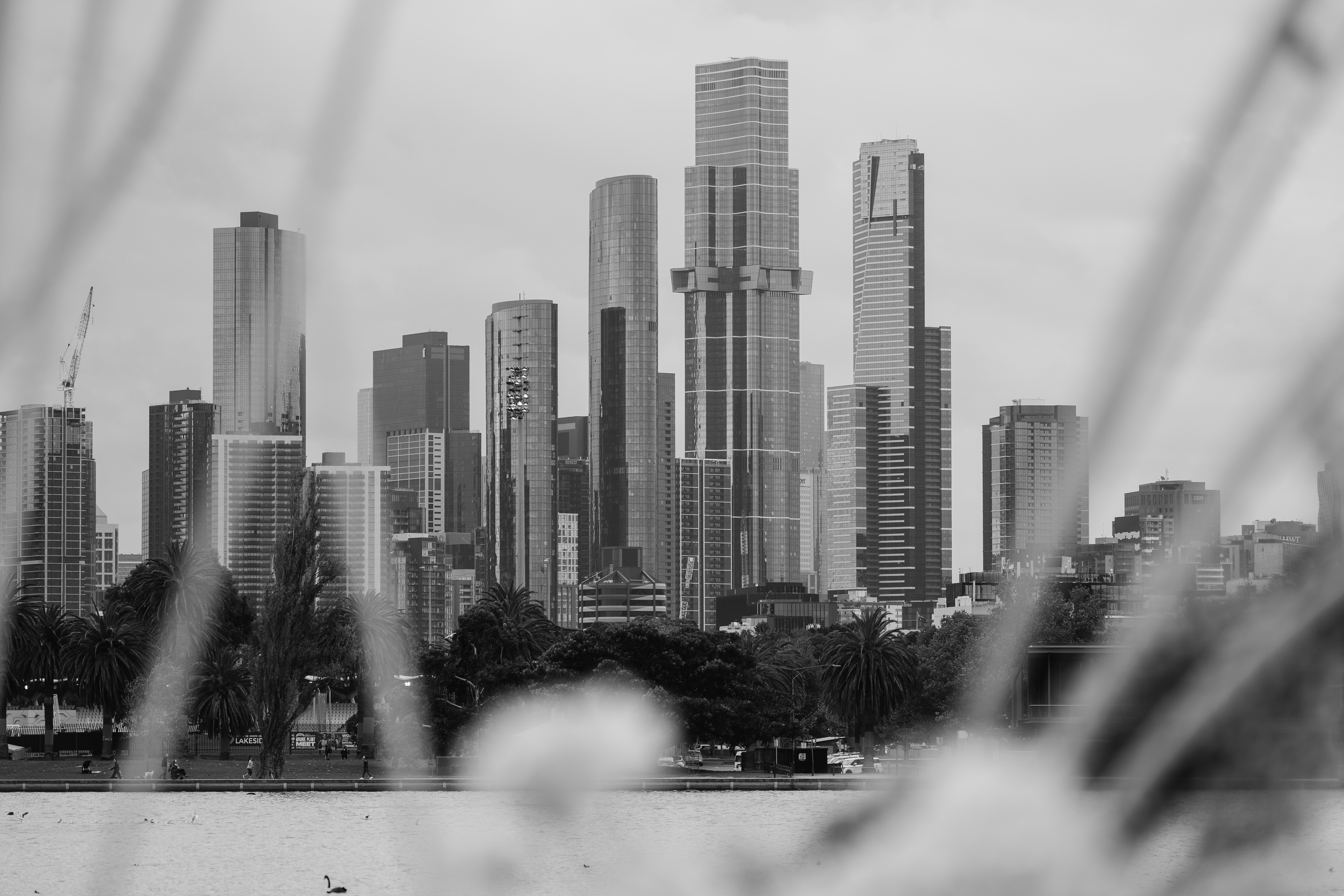 Carousel Albert Park-2461190