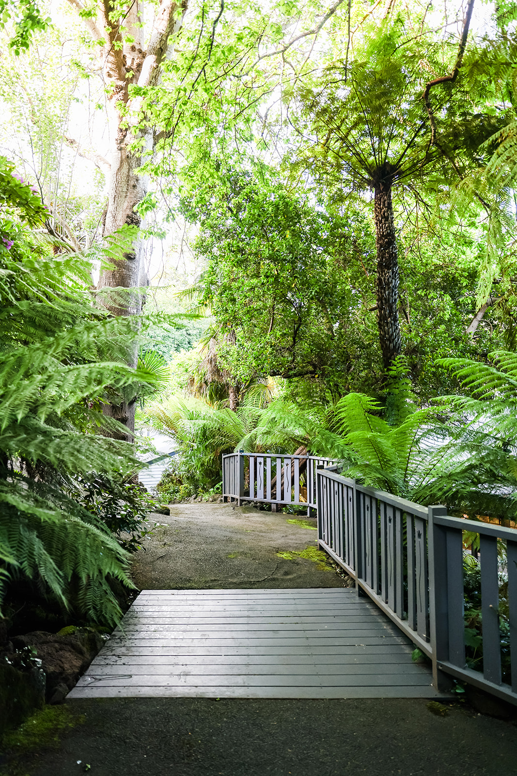 Nathania Springs Receptions-2220728