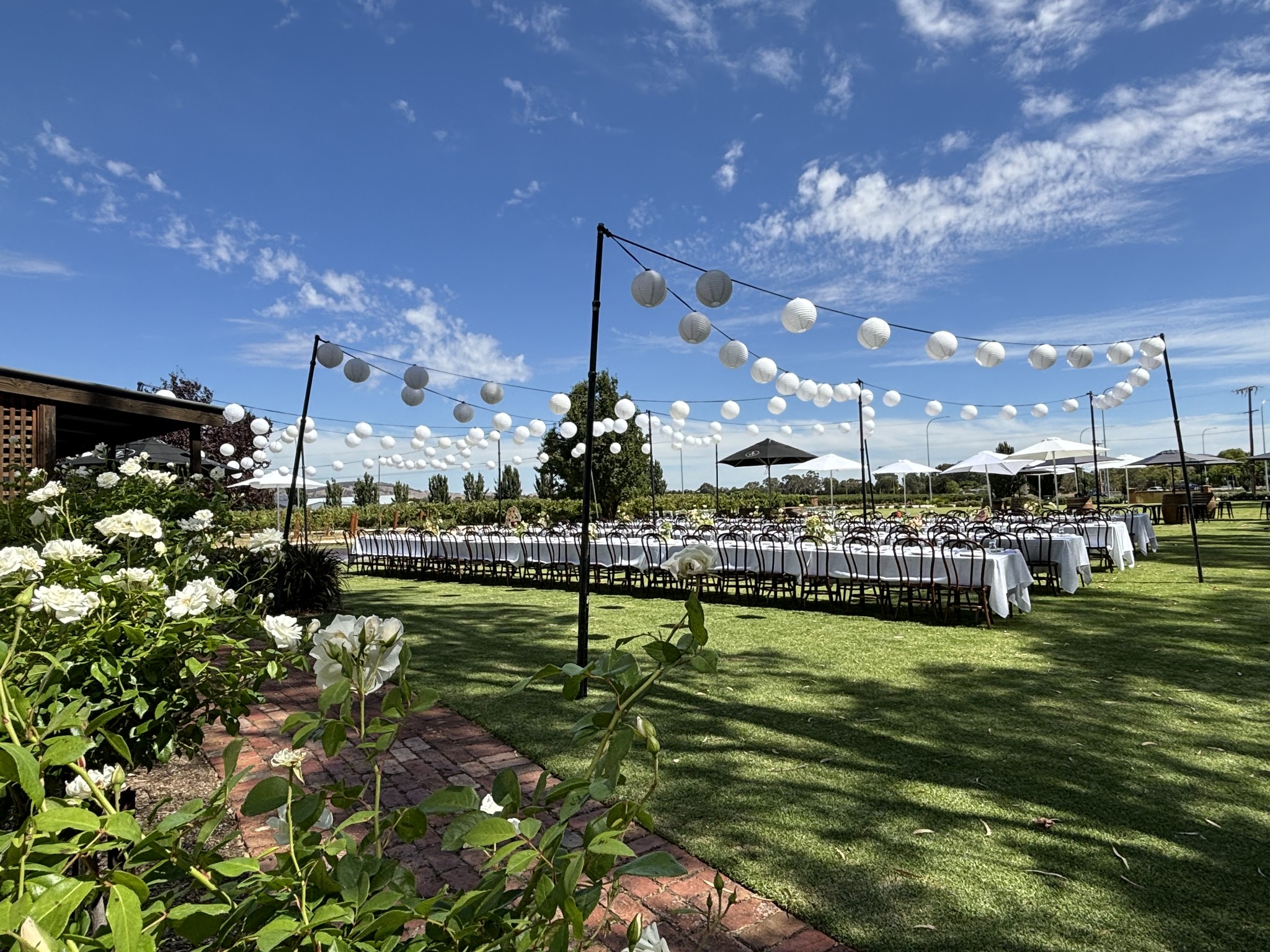 Pirathon Cellar Door-2446851