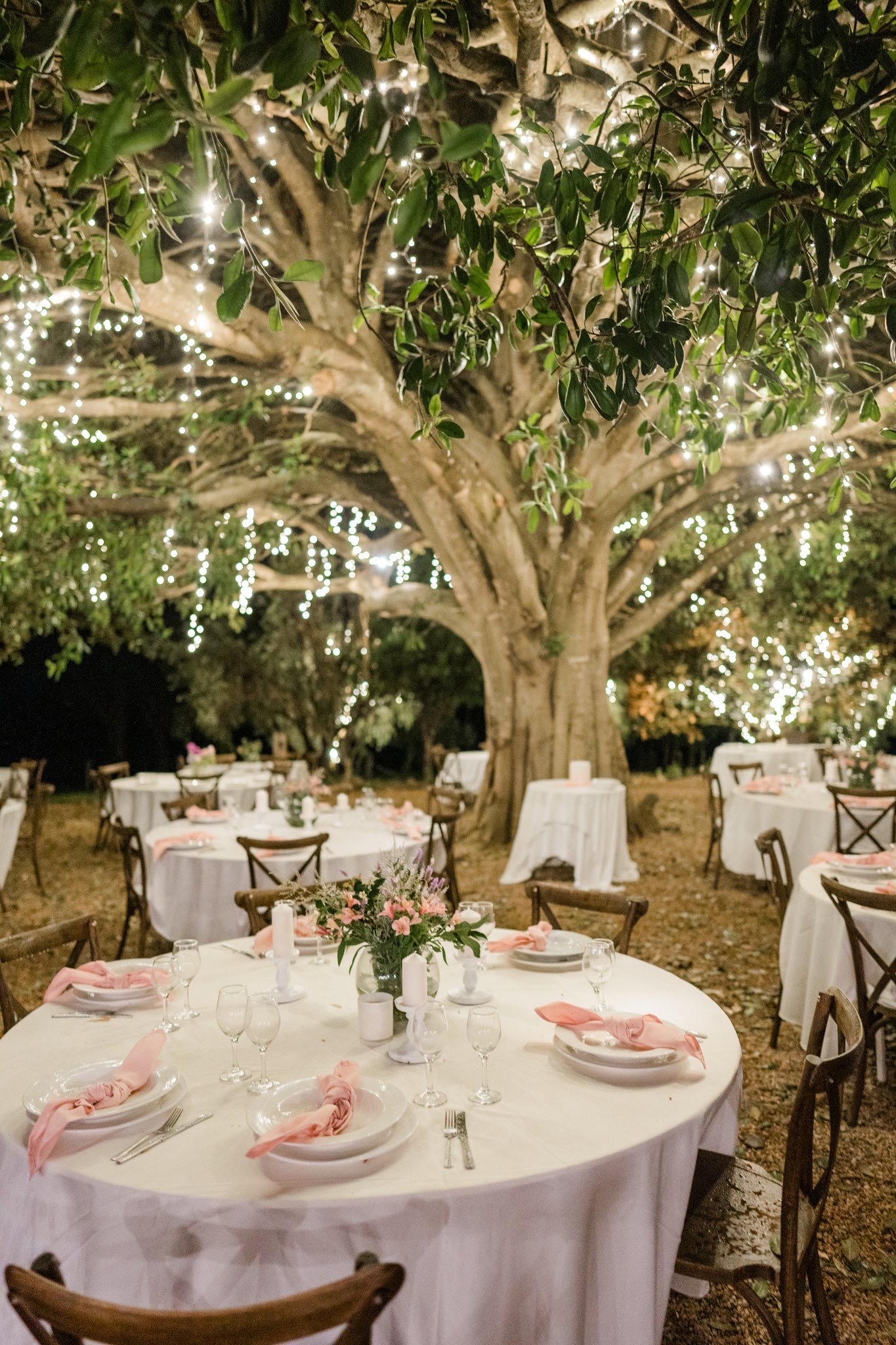 Fig Tree Park Weddings-2389245