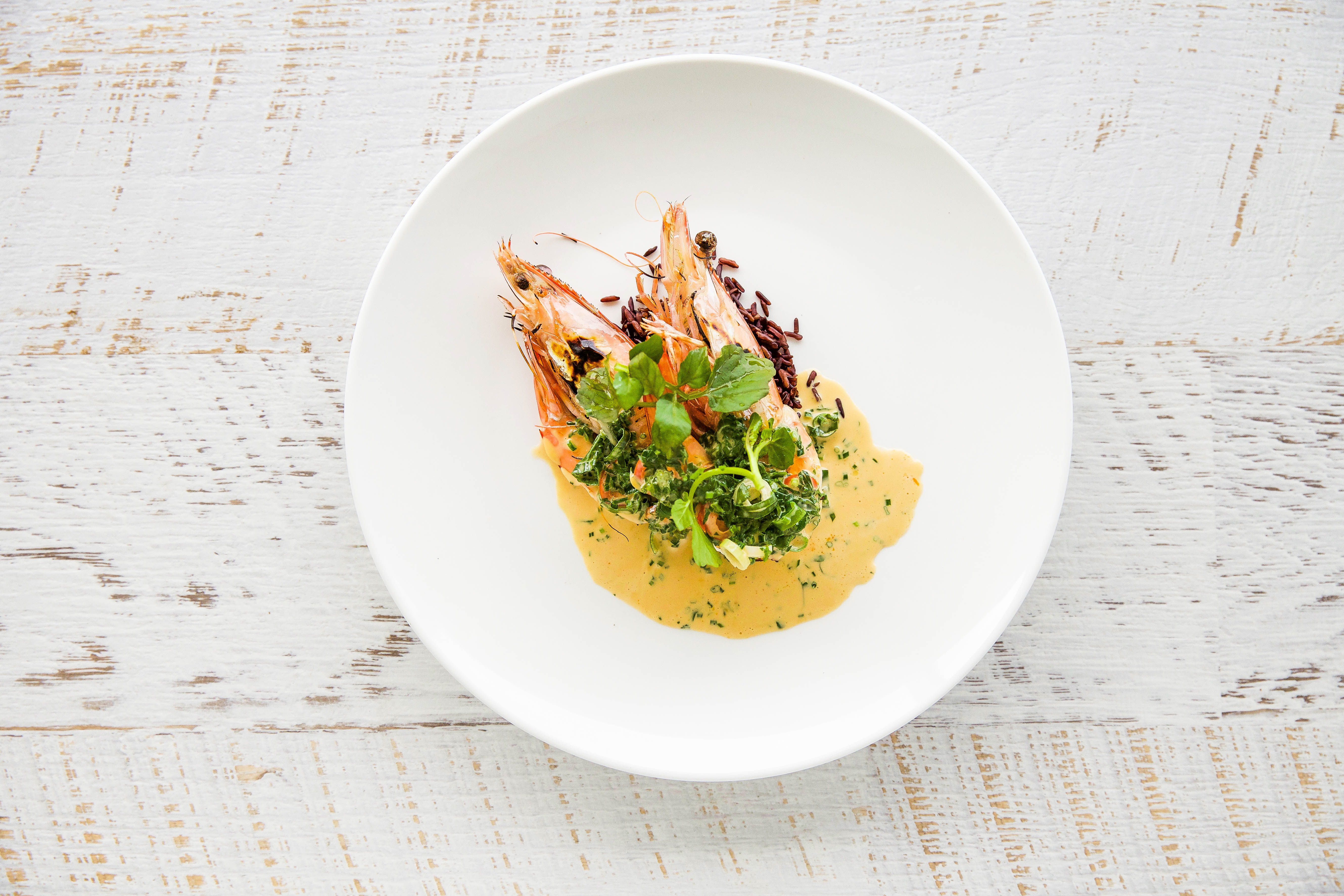 The Kyle Bay-2400359